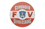 FV Gemünden/Seifriedsburg